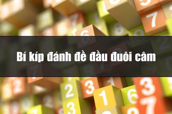 Lô đầu câm đánh con gì để vận may về tiền tài gõ cửa?