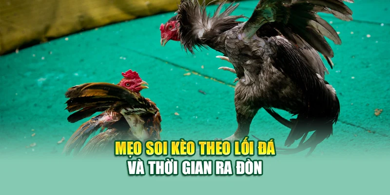 Mẹo soi kèo theo lối đá và thời gian ra đòn
